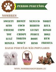 Nom de chien original pour votre toutou. Nom De Chien Male 360 Nomdechien Com