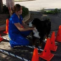 Michelle van schaik themis law. 6 Michelle Van Schaik Profili Linkedin