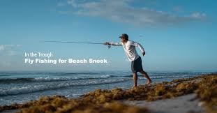 How to catch snook on the beach. In The Trough Fly Fishing For Beach Snook Ole Florida Fly Shop