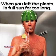 Sunburn Photo And Video Instagram Photo Instagram