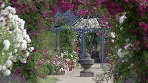 Yelp is a fun and easy way to find, recommend and talk about what's great and not so great in hildesheim and beyond. Naturorte In Hildesheim About Cities Der Stadteblog Fur Niedersachsen