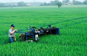 We did not find results for: Why Do Plants Need Fertilizers Yara International