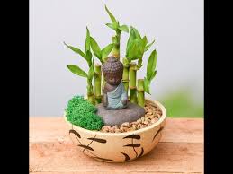 Do It Yourself How To Make Diy Meditating Buddha Miniature Garden Nurserylive Youtube Small mini buddhist buddha pray music machine 38 songs incantaion for gifts.