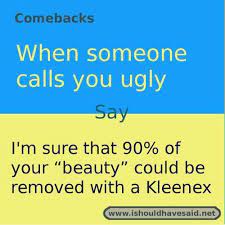 450 Savage Comebacks Ideas Comebacks Comebacks And Insults Clever Comebacks