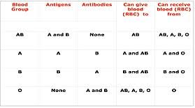 blood type compatibility chart clipart images gallery for