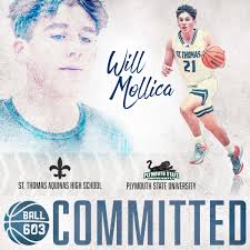 Will Mollica (@willmollica)