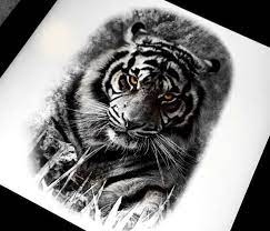Best 25 Tiger Tattoo Design Ideas On Pinterest Tiger Tattoo Tiger Tattoo Back And Drawings H Tiger Tattoo Design Realistic Tiger Tattoo Design Tiger Tattoo
