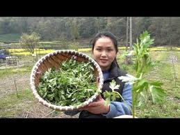 teach you to use ai ye to make a green group plus a scarce filling too fragrant and delicious youtube fragrant make it yourself filling