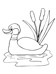 Donald duck coloring pages to print for free donald duck coloring pages to print duck and chick coloring pages duck and duckling coloring pages. Funny Mallard Duck In The Pond Coloring Pages Birds Coloring Pages Coloring Pages For Kids And Adults