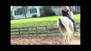 Layla's Ride