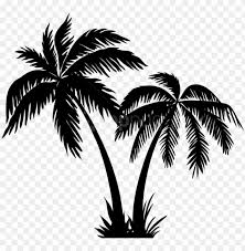 Find & download free graphic resources for coconut tree. Free Png Palms Silhouette Png Coconut Tree Clipart Black And White Png Image With Transparent Background Toppng