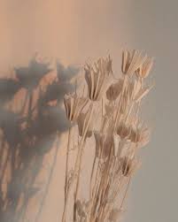 Aesthetic wallpapers beige aesthetic aesthetic pictures brown neutral brown aesthetic color beige wall collage. ð´ð'ð'‡ð»ð¼ ð'ƒð¸ð¾ð¼ On Instagram In 2021 Beige Aesthetic Beautiful Landscape Pictures Aesthetic Backgrounds