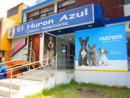 El Hurón Azul Clínica Veterinaria