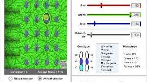 Artificial selection and natural selection 15 most domesticated animals have been bred for specific, favorable traits. Evolution Natural And Artificial Selection Gizmo Activity 1 Tutorial Youtube