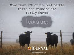 Display Marketing Images For Download Cattle Cattle Farming Show Cattle