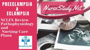 .and incorporate it with the nursing interventions and treatment, let's remember the word: Preeclampsia And Eclampsia Nursing Diagnosis Care Plan Nursestudy Net