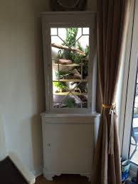 Vivarium For A Gecko Or Other Small Reptile I Just Used An Old Corner Display Cabinet And Painted It With C Gecko Vivarium Crested Gecko Habitat Gecko Habitat
