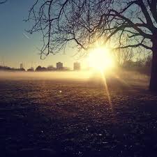 Anne Stack (@stackanne) • Instagram photos and videos