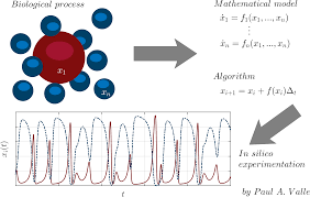 Image result for Science Math Applications Mathematical Biology Events