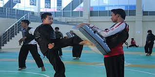Faktor utama dalam melaksanakan olahraga pencak silat agar menghasilkan teknik yang tinggi adalah pembentukan sikap dan gerak. Komponen Fisik Pencak Silat Dan Kondisinya Proud Of Silat