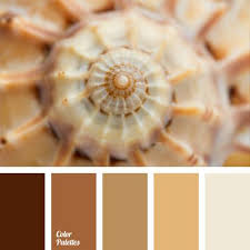 Maybe you would like to learn more about one of these? Pin On Color Matching