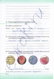 гдз по алгебре и начала анализа 10 11 класс мордкович 2019 Gdz Po Biologicheskomu Kraevedeniyu 7 Klass Rabochaya Tetrad Dmitrieva Sosnovskaya Star Wars Rogue Squadron Book Activities Algebra