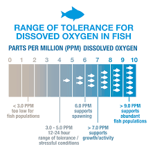 Water Research Center Dissolved Oxygen In Water Streams