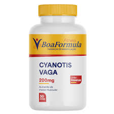 Image result for Cyanotis vaga