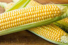 Ketahui berapa lama untuk merebus jagung untuk kelembutan yang sempurna dengan hanya jumlah yang tepat dari masalah. Manfaat Jagung Untuk Anak Bantu Tumbuh Kembangnya