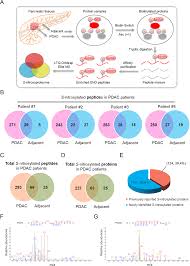 extensive protein s nitrosylation associated with human