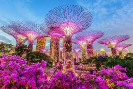 Singapur Tipps Gardens By The Bay Supertrees Singapur Reise Singapur Urlaubsguru