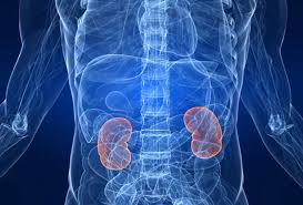 Functional or morphological disruption of. Chronic Kidney Disease Disease Or Condition Of The Week Cdc