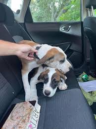 UPDATE: Ricky Tabor Jr. has these...