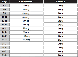 Clenbuterol Ultimate Guide For Men Women Inside Bodybuilding