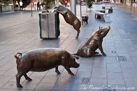 Walking In Adelaide City The Nomadic Explorers Australian Travel Blog Australian Travel Adelaide South Australia Adelaide