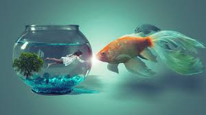 Girl In Fish Bowl Photoshop Cc 2015 5 Manipulation Tutorial Youtube Photoshop Fish Bowl Manipulation Tutorial