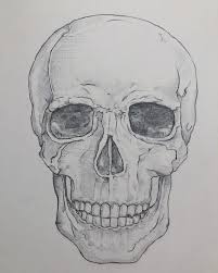 Pin On Ho To Drow Anatomy