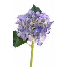 Try planting these flowers in your garden so when spring comes you can venture outdoors and have a picnic among the new blooms. Artificial Hydrangea Nicky Blue Purple 50cm O15cm Fake Flowers