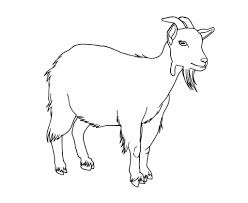 Free Printable Goat Coloring Pages For Kids Animal Coloring Pages Goat Picture Cute Goats