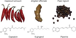 Perspectives And Applications Of Natural Products As Civilian Defense Devices
