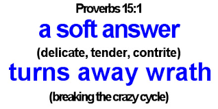 Fortunately, i have also come to see the benefits of not doing so. A Soft Answer Breaks The Crazy Cycle The Hausvater Project