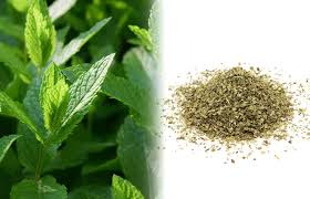 Children can explore and examine various functions and suggest simple experiments in order to find out how certain simple machines work. 10 Alternatives To Tobacco To Mix With Cannabis Sensi Seeds