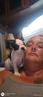 Daisy duke she's two years old