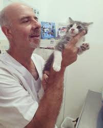 Con Milo que vino a su consulta! #vet #cat #veterinario #gato @ Veterinaria Hernan  Rubio