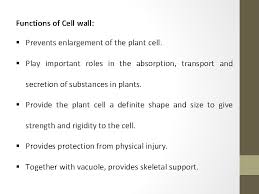 The cell (from latin cella, meaning small room) is the basic structural, functional, and biological unit of all known organisms. Cell Wall And Its Function A Cell Wall