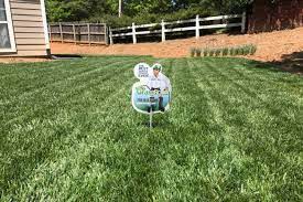Lawn looking a little tired? Best Lawn Care Treatment Weed Control Service In Cartersville Ga