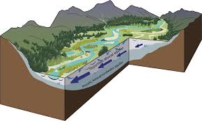 This agreement provides that the state of georgia will assume responsibility for the development and updating of digital flood insurance rate maps (dfirms) within all 159 counties in the state. Gravel Bed River Floodplains Are The Ecological Nexus Of Glaciated Mountain Landscapes Science Advances