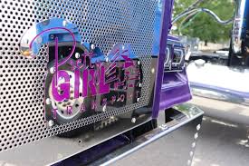 Image result for Purple 1999 Truck