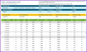 This is often done by exercising each body part. Calorie Counter Template Exceltemplates Org