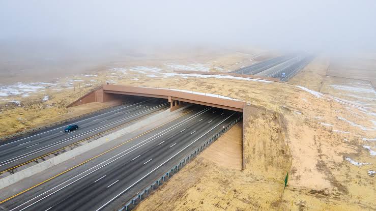 Colorado - Colorado is now home to North America's largest wildlife overpass  🎉 The I-25 Greenland wildlife overpass near Larkspur, recently completed  by @coloradodot, connects 39,000 acres of habitat and wildlife corridors